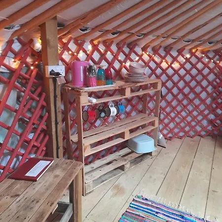 Luxury tent Alder Yurt Wych Elm Glamping Helston
