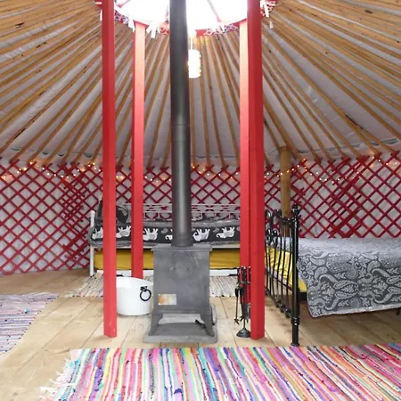 Alder Yurt Wych Elm Glamping