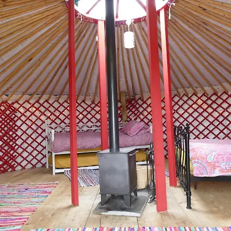 Alder Yurt Wych Elm Glamping *