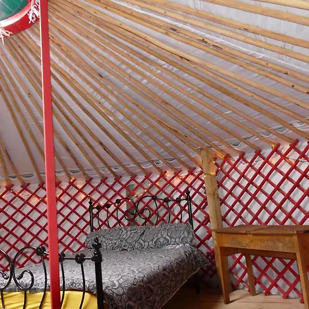 Alder Yurt Wych Elm Glamping Luxury tent Helston