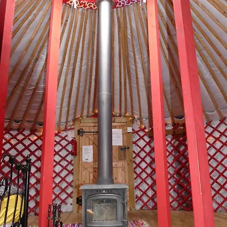 Alder Yurt Wych Elm Glamping